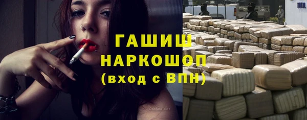 твердый Магас