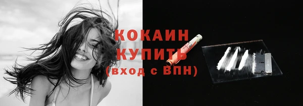 твердый Магас