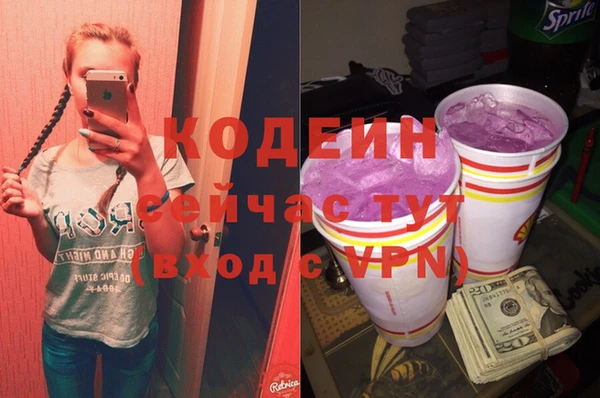 твердый Магас