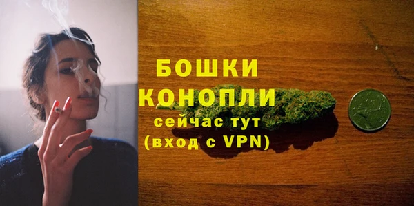 твердый Магас