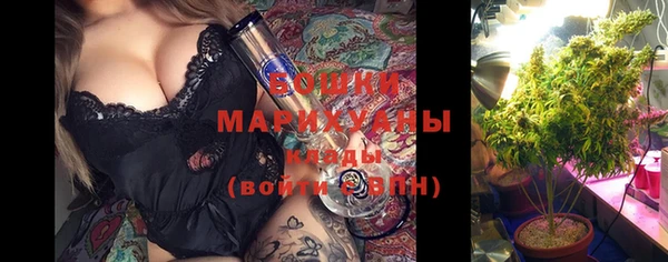 твердый Магас